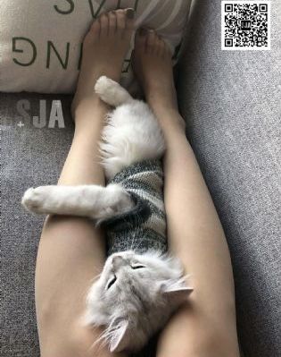 三夫共妻好涨四根高H_剧情片完整版观看