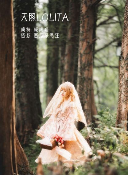 不良视频在线观看_BD韩语最新电影在线观看