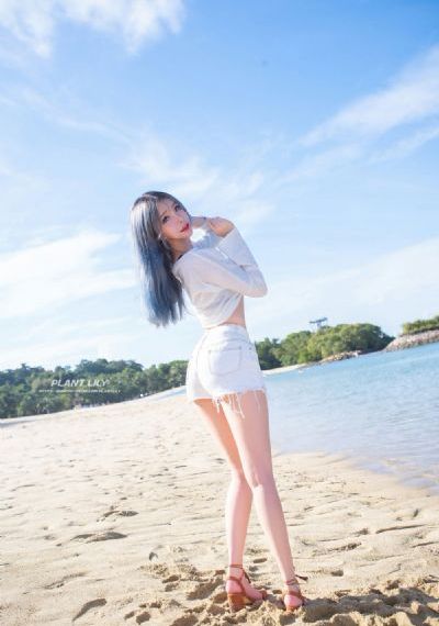色综合V综合无码综合网站_DVD全集免费播放